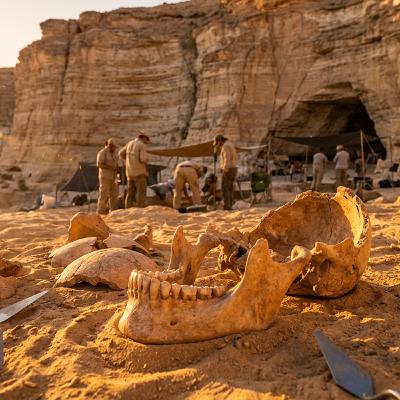 77万年前のモロッコ化石が解き明かす、私たち人類の起源