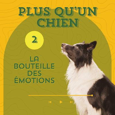 Les émotions du chien réactif - La bouteille des émotions