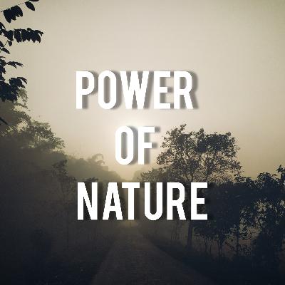 4. The Power of Nature (Inspirational Speech) 4. The Power of Nature (Inspirational Speech)