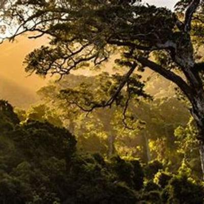 Encantos da natureza com Professor Luiz Roza Camargo