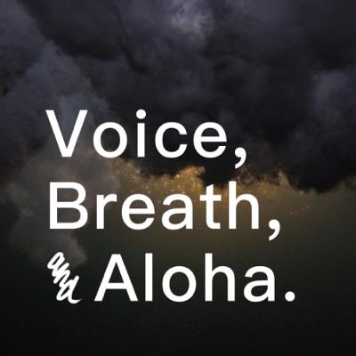 Voice,Breath,and Aloha vol.01 2020年冬至の翌日に第一回目のスタートです。