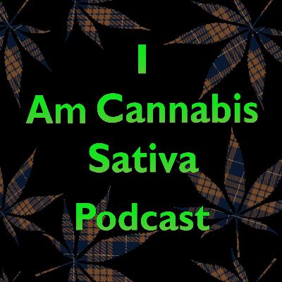 Series Finale and Why I am Quitting Activism and THC Cannabis Use