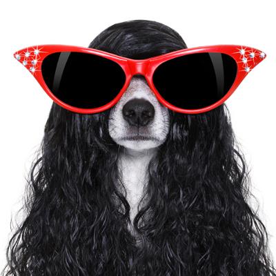 Matemáticas: Integrales part. 1