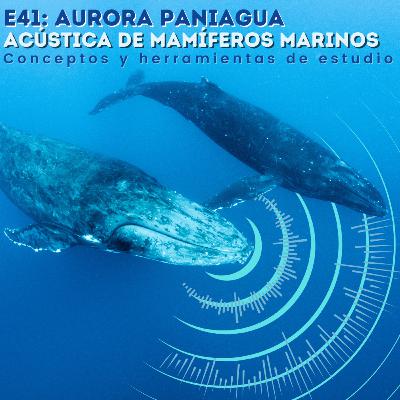 E41. Aurora Paniagua- Acústica de mamíferos marinos. Conceptos y técnicas de estudio. E41. Aurora Paniagua- Acústica de mamíferos marinos. Conceptos y técnicas de estudio.