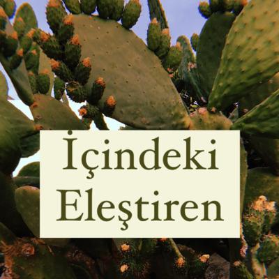 İçindeki Eleştireni Yumuşatmak