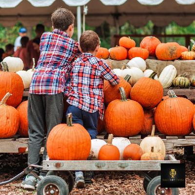 Light the Night Light the Night