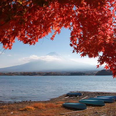 [VOYAGE #31] Voyager au Japon en novembre