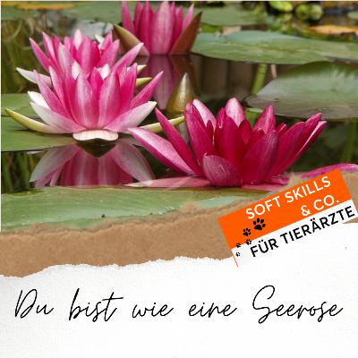 #38 Du bist wie eine Seerose