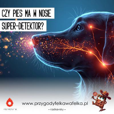 🔬 SNF #013. Czy pies ma w nosie super-detekor? | Słodka Nauka Felka Wafelka 🔬 SNF #013. Czy pies ma w nosie super-detekor? | Słodka Nauka Felka Wafelka