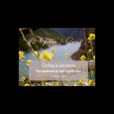 Perseverance and Godliness | 2 Peter 1 Series