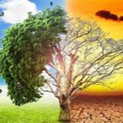Cómo se relacionan la inversión de grandes capitales con los problemas ambientales?