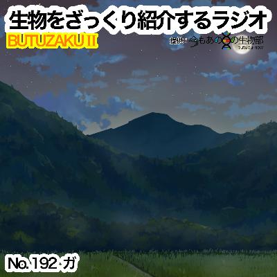 第92話：✉️「ガ」をざっくり紹介