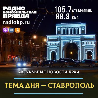 На Ставрополье гастролирует Костромской областной театр кукол