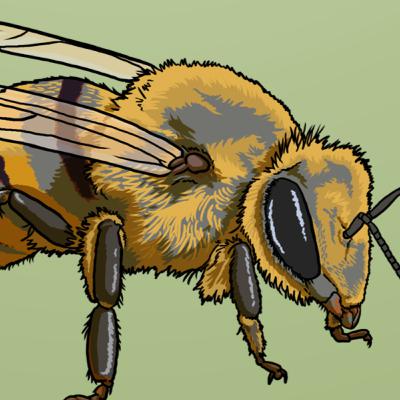 A Powerful Pollinator