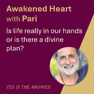 Is life really in our hands or is there a divine plan?