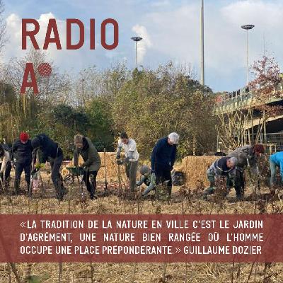 La méthode Miyawaki : une oasis parmi le béton ?