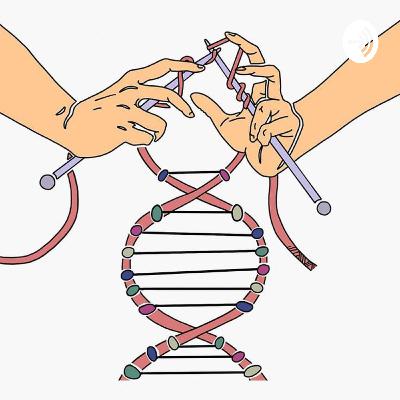 Transcripción y traducción del ADN. Transcripción y traducción del ADN.