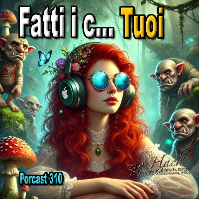 Fatti i c    tuoi, il segreto del successo 310
