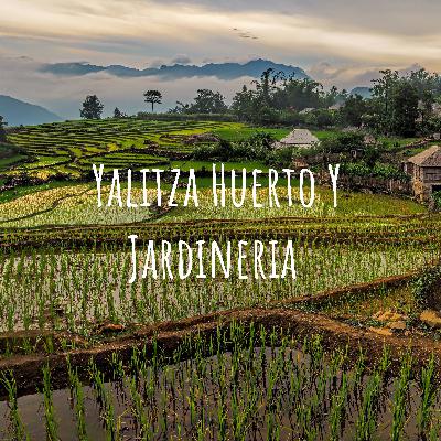 Yalitza huerto y jardineria