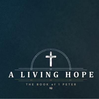 2024.03.10 Rejoicing in Suffering | 1 Peter 4:12-19 | John Wood 2024.03.10 Rejoicing in Suffering | 1 Peter 4:12-19 | John Wood