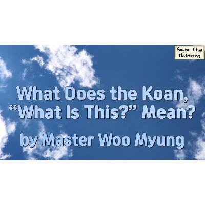 🔮 What Does the Koan, “What Is This?” Mean? : koan, origin, true mind, real self, completeness, enlightenment, truth | Master Woo Myung | Santa Clara Meditation
