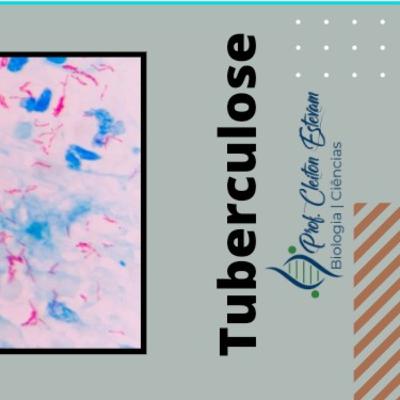 3° Podcast | Tuberculose