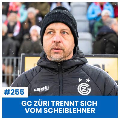 GC ZÜRI TRENNT SICH VOM SCHEIBLEHNER! | SPIELRÜCKBLICK THU VS GCZ | SÄCHSFOIF #255