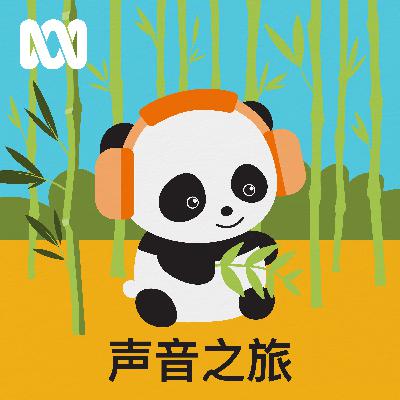 声音之旅简介