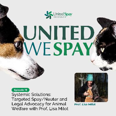 019: Systemic Solutions: Targeted Spay/Neuter and Legal Advocacy for Animal Welfare with Prof. Lisa Milot