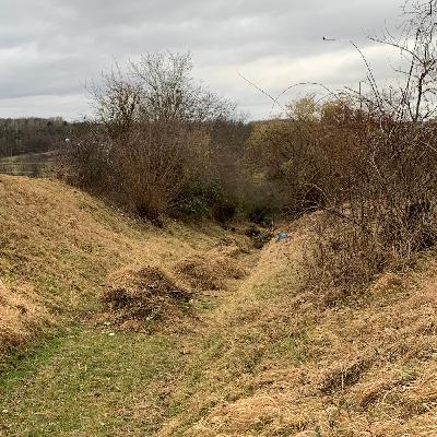 Arge Nord-Ost: Erhalt von Freiflächen, Interview mit Joseph Michl Arge Nord-Ost: Erhalt von Freiflächen, Interview mit Joseph Michl