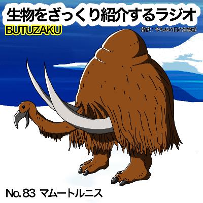 第83話：「マムートルニス」をざっくり紹介