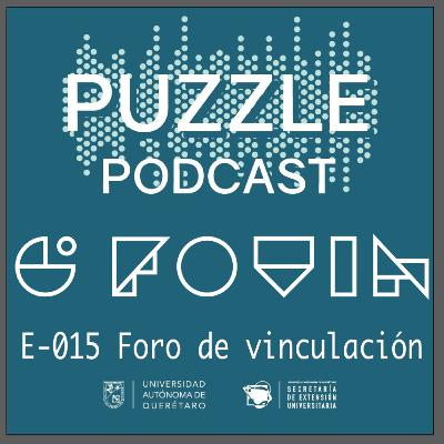 PP E-015 Foro de Vinculación Digital