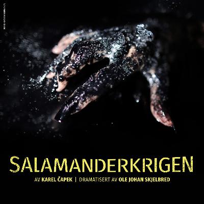 Om Salamanderkrigen Om Salamanderkrigen