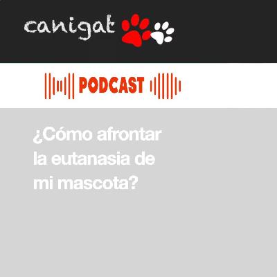 125 - ¿Cómo afrontar la eutanasia de mi mascota?