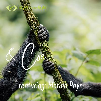 Marion Payr - Inspiration for aspiring photographers