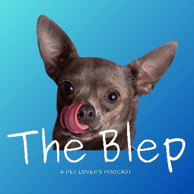 Episode 32: Cognitive Decline