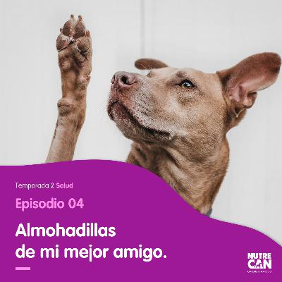 Mi mejor amigo y sus huellitas. Mi mejor amigo y sus huellitas.