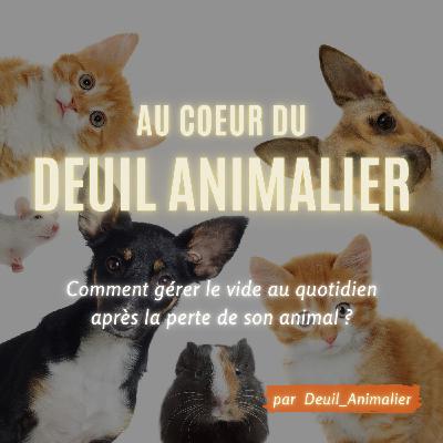 Épisode #8 – Comment gérer le vide au quotidien après la perte de son animal ?