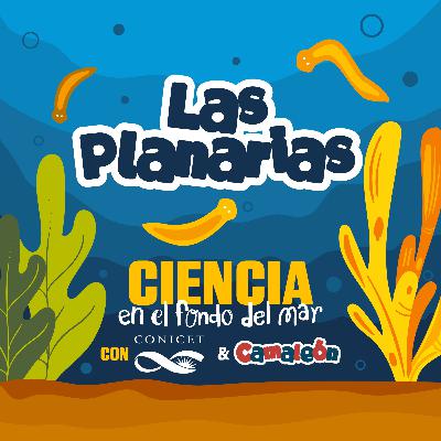 Planarias: El animal que puede reconstruir su cerebro Planarias: El animal que puede reconstruir su cerebro