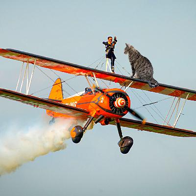 Comedy cat podcast. Life with Bucky. Woman wing-walker and flying Kitty Roger. Beonce telegrams. Comedy cat podcast. Life with Bucky. Woman wing-walker and flying Kitty Roger. Beonce telegrams.