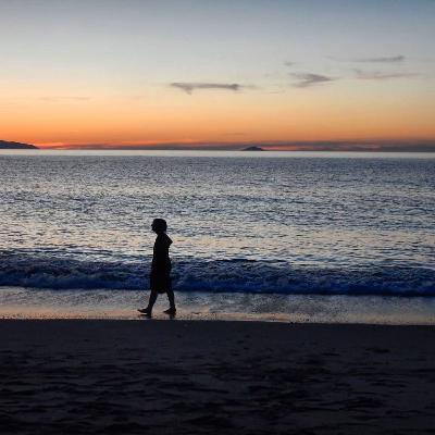 Estratto del saggio di H. Bahr "Expressionismus" (1916) Estratto del saggio di H. Bahr "Expressionismus" (1916)