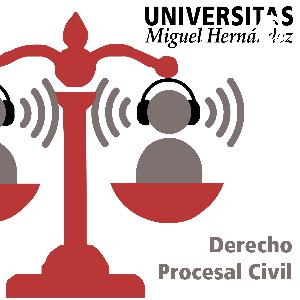 08. Los principios del proceso 08. Los principios del proceso