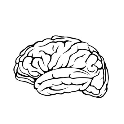 SHE DREAMED ABOUT WHAT?