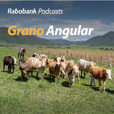 Mercados agropecuarios, aranceles, informes y más Mercados agropecuarios, aranceles, informes y más