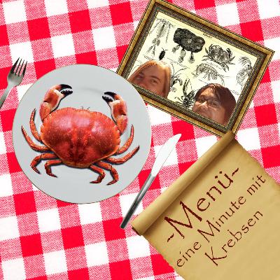 #0 Intro mit Krebsen #0 Intro mit Krebsen