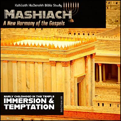 Mashiach: Immersion & Temptation Mashiach: Immersion & Temptation