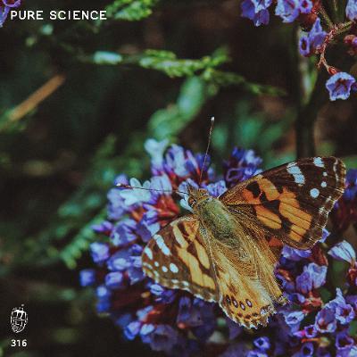 MDC.316 Pure Science