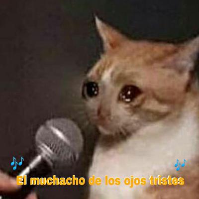 No estamos locas