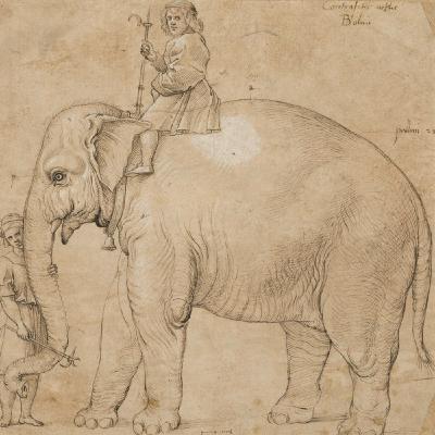 祝大家文藝復興！EP.09 藝術與科學的結合：拉斐爾《大象漢諾》與近現代歐洲的「如實呈現」