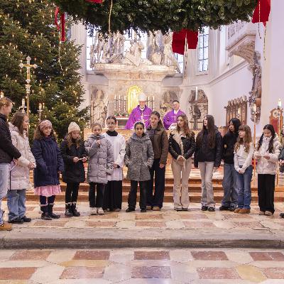 Bummer Lambs oder: Der Unterschied zwischen bloßem Wissen und Begeisterung